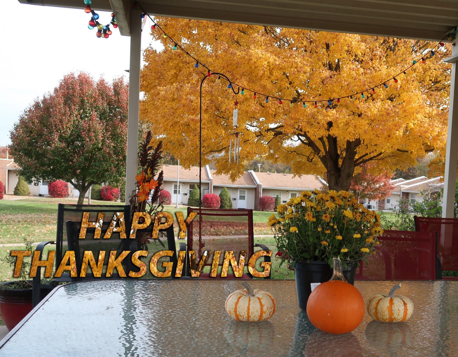 HAPPY THANKSGIVING by Maranatha Village, Springfield MO